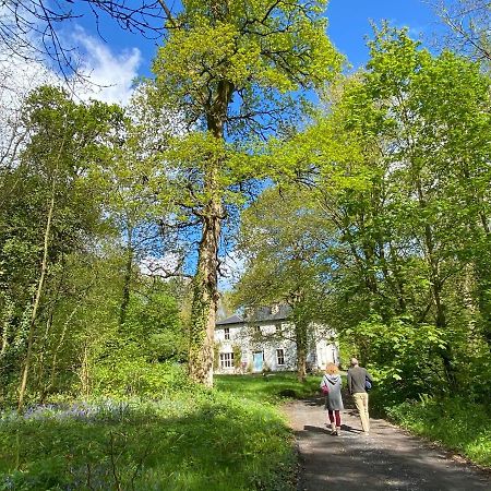 Blackhill Woods Retreat Abbeyleix Bagian luar foto