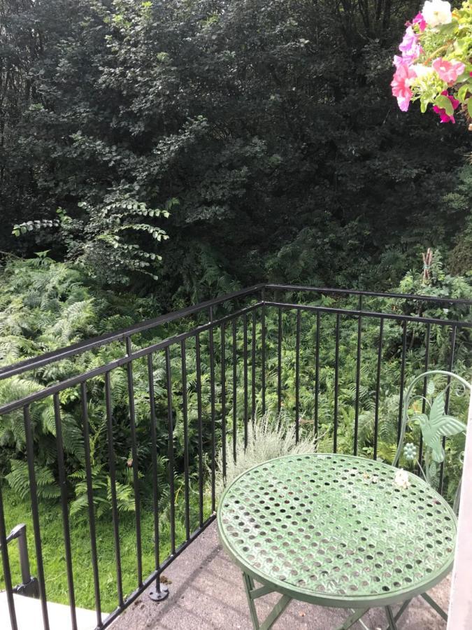Blackhill Woods Retreat Abbeyleix Bagian luar foto