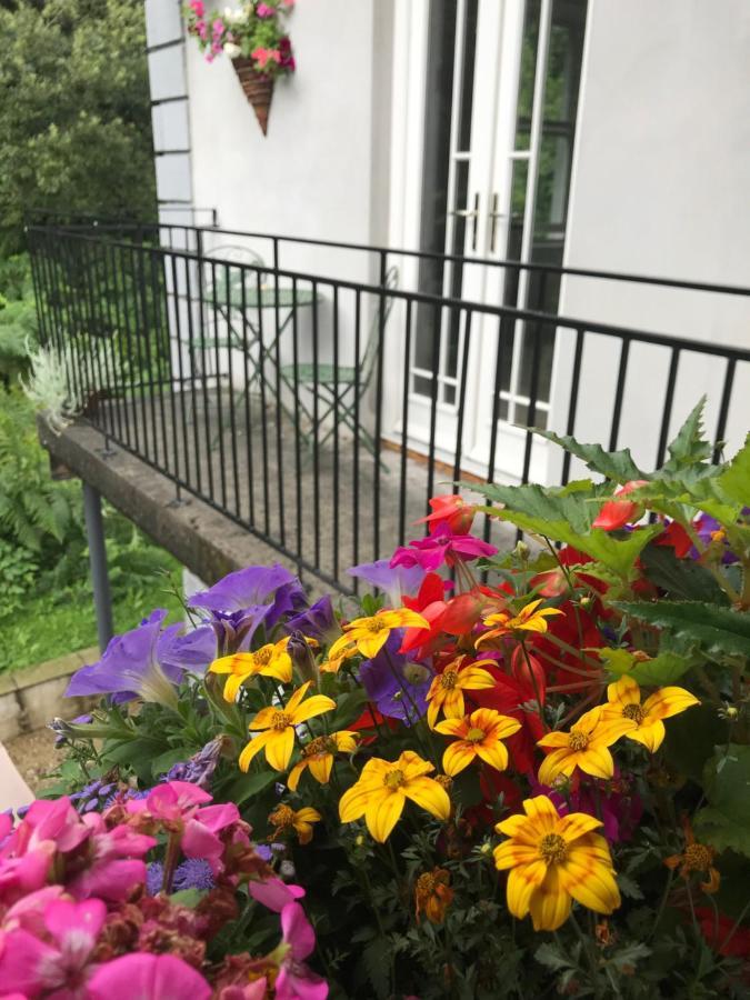 Blackhill Woods Retreat Abbeyleix Bagian luar foto